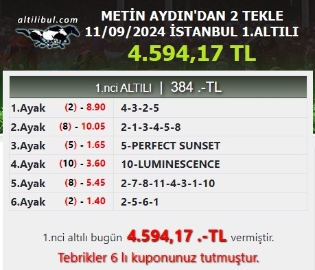 metoist1.jpg